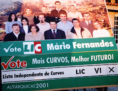 LIC 2001 - Campanha eleitoral