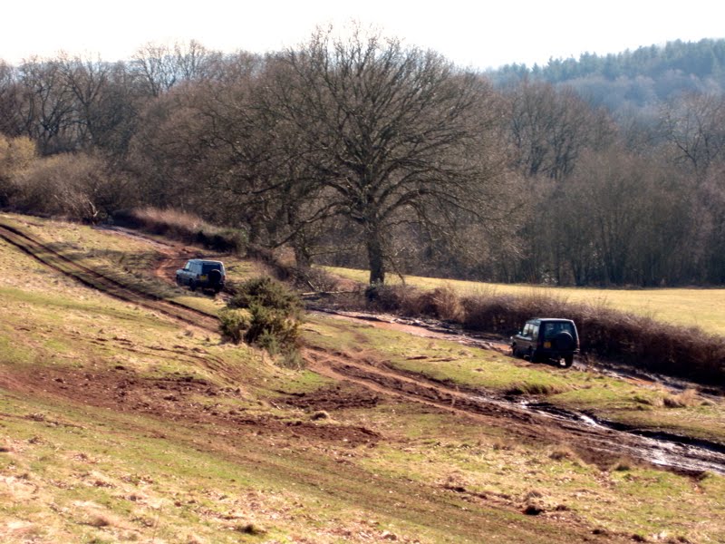 [landrovers.JPG]