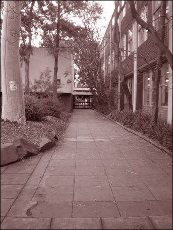 [P7141497.JPG]