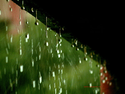 desktop wallpaper rain. RAIN DROPS DESKTOP WALLPAPER