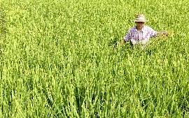 [0,,14637959,00.jpg]