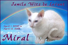 A tribute for sweet Miral...