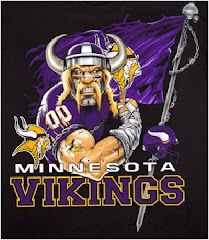 Vikings Banner
