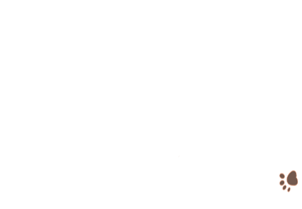 super_00.png
