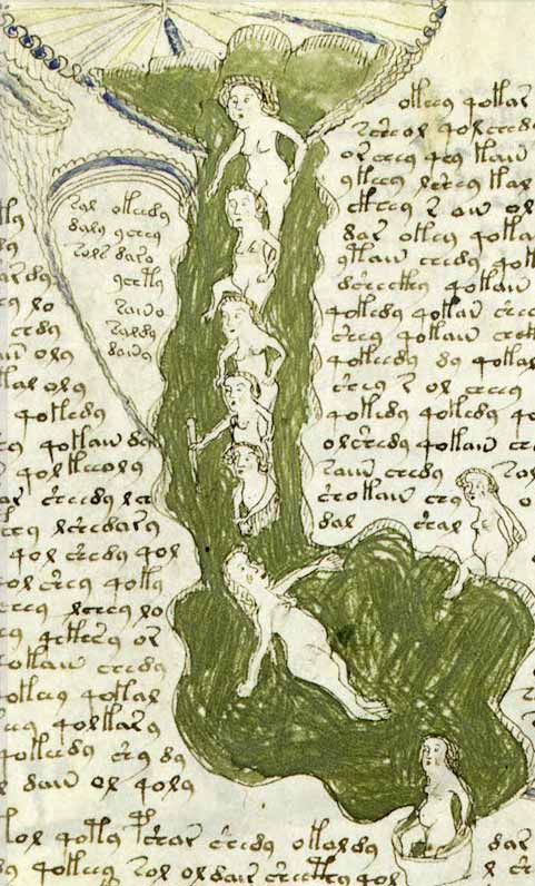 [voynich-meninas-det.jpg]