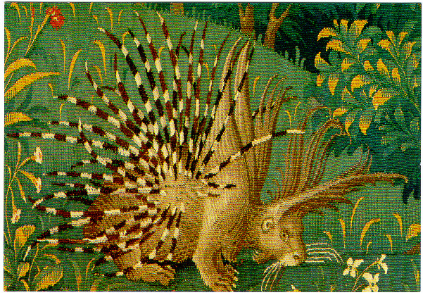 [hedgehog+ta+licorne.jpg]