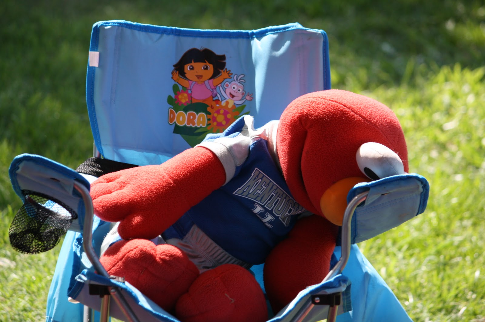 Unique Elmo Beach Chair 