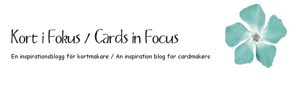 Kort i Fokus / Cards in Focus