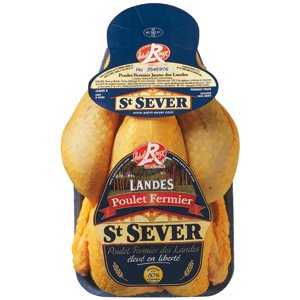 [landes+chicken+6.jpg]