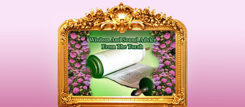 Wisdom And Sound Advice From The Torah
