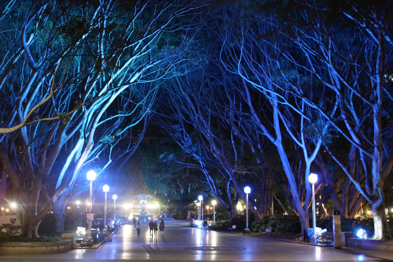 Sydney - City and Suburbs: Hyde Park, Vivid Sydney