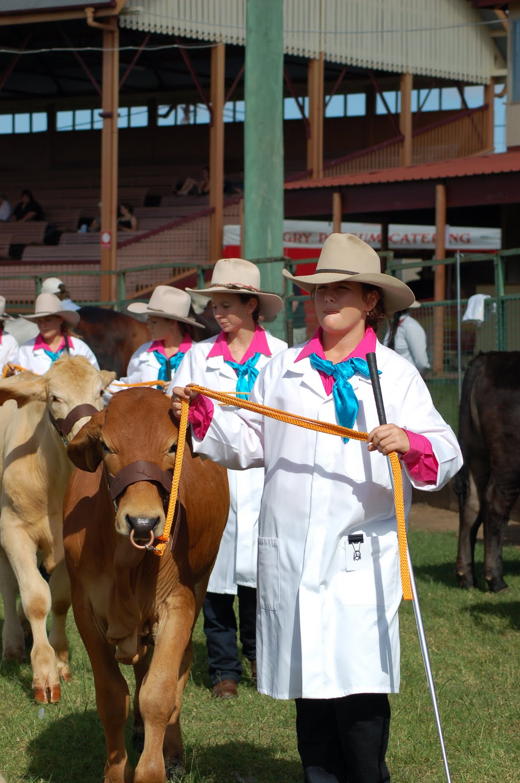 BTC Blog: Cattle Club Representation at Charters Towers Show