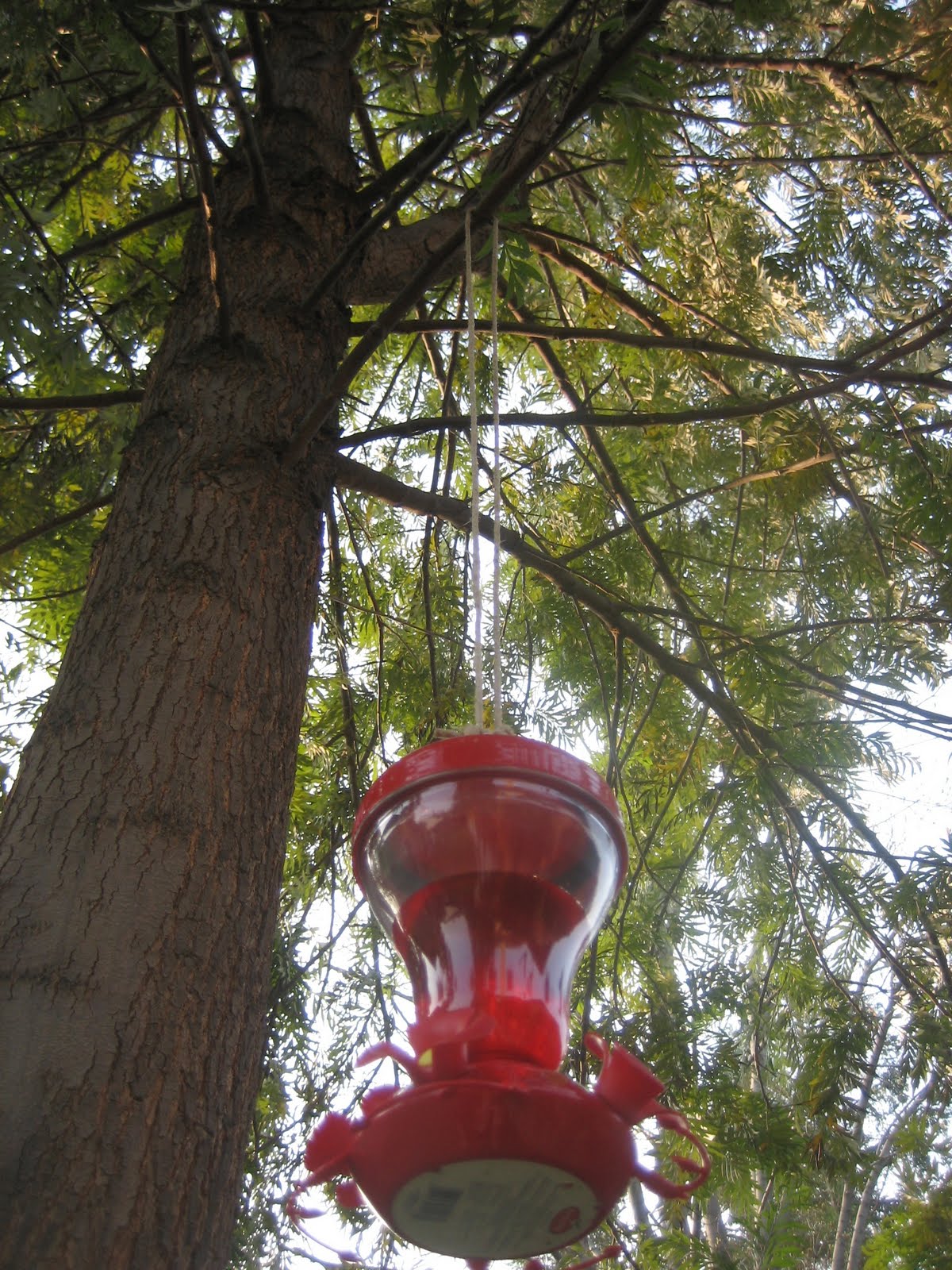 [IMG_2313.JPG]