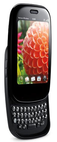 [palm3.jpg]