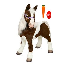 [pony1.jpg]