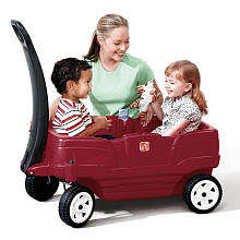 [wagon.jpg]