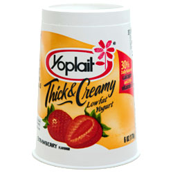[yoplaityogurt.jpg]