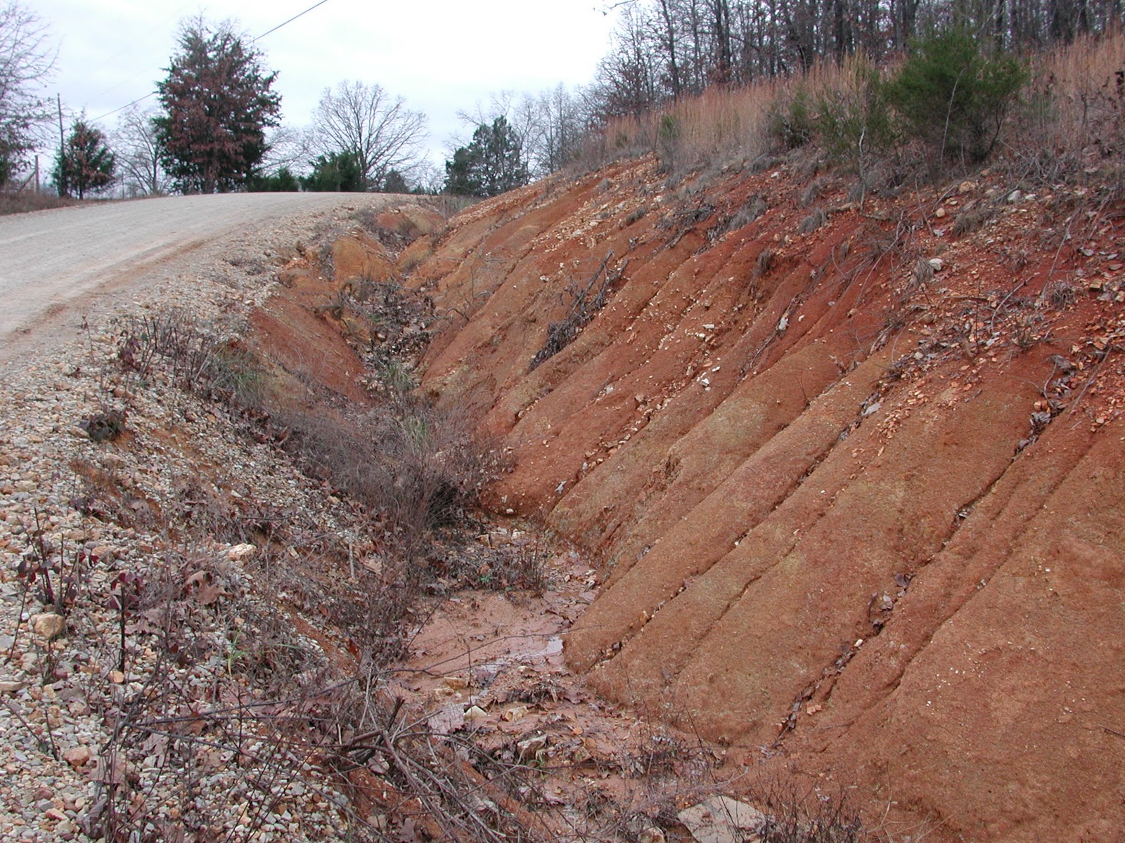 ZooBlog: Sediment Management on Unpaved Roads