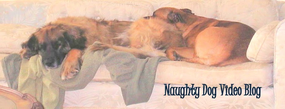 Naughty Dog Video Blog