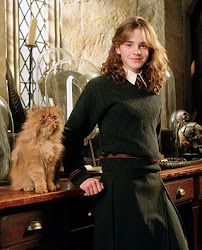 emma potter harry cat watson hermione crookshanks retires british bares isles brilliantly pumpkin got