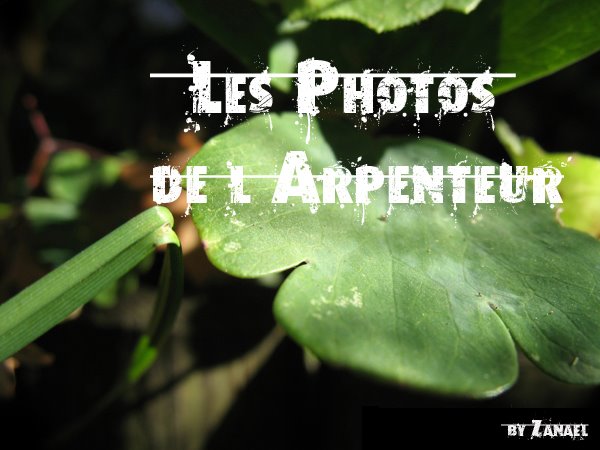 Les Photos de l'Arpenteur