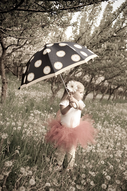 Dayzy Photography Tutu Photoshoot