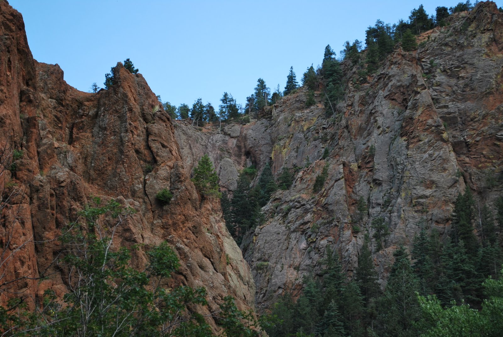 Roots and Wings Focus and the Cheyenne Canyon Park