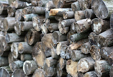 A WOOD PILE