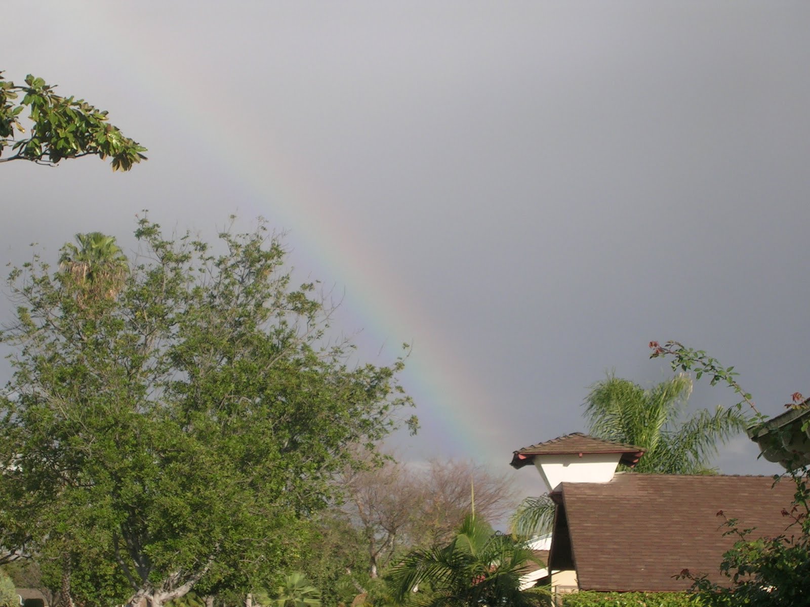 DavidCohenTraditional Chinese Medicine II DIFFERENTIAL DIAGNOSIS