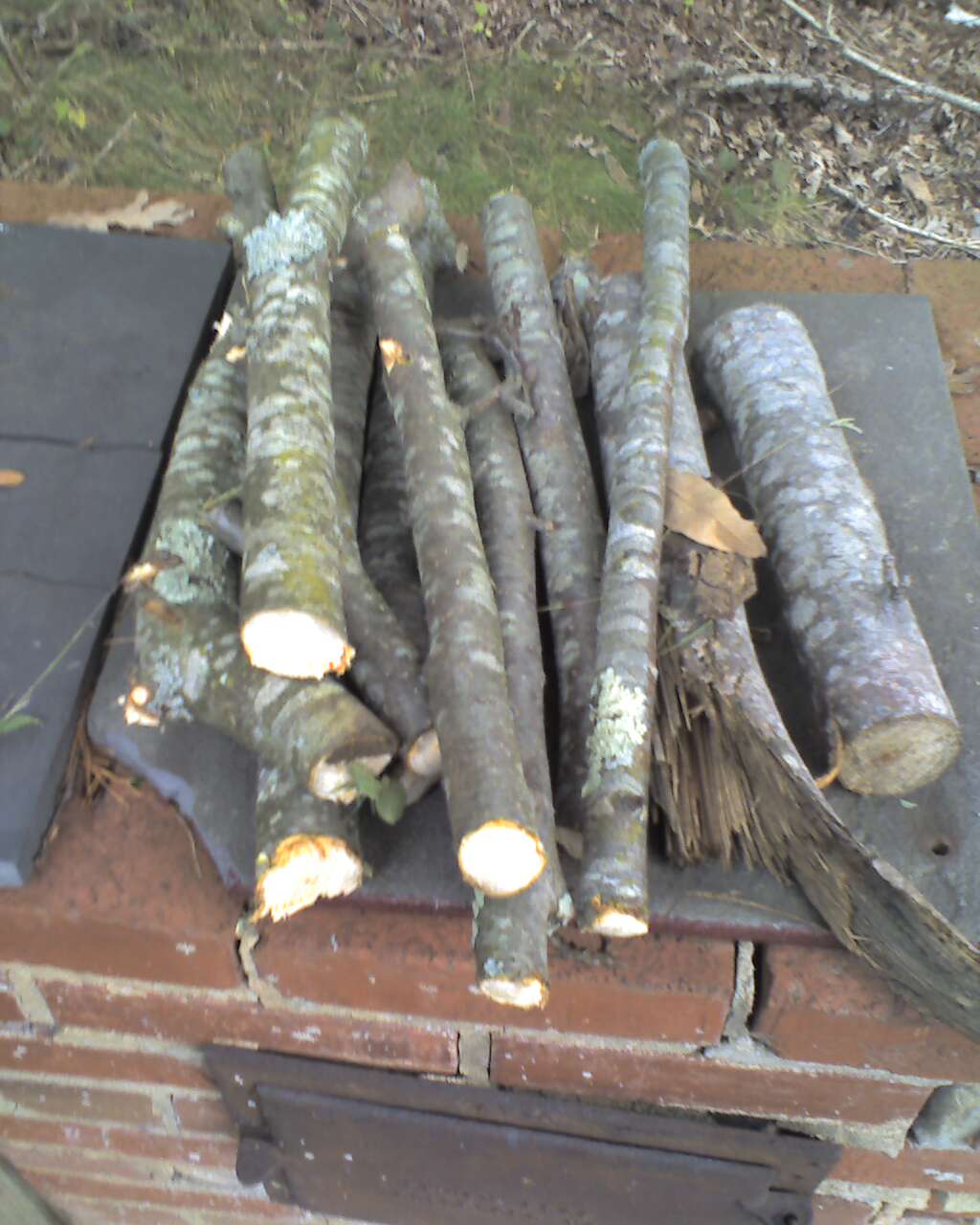 Hawksbill Cabin Need Advice Apple Wood Smoke