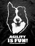 Camisetas Agility is fun !