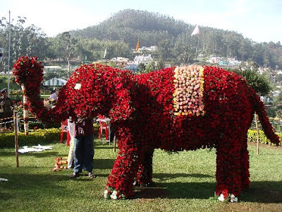Ooty Flower Show 2010 elephant image