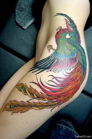 om tattoo designs. Phoenix Tattoo Design