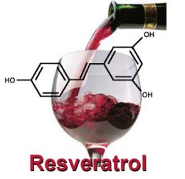 [resveratrol-picture.jpg]