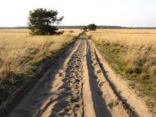 Der Weg ist das Ziel