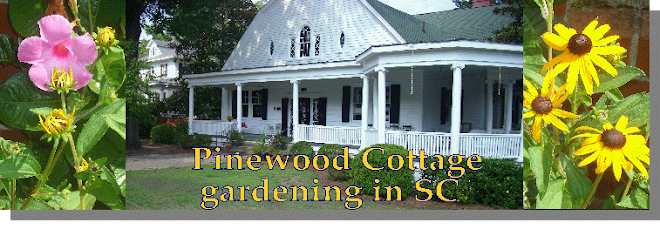 Pinewood Cottage Garden