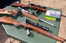 The .22 Hornet has been chambered in some of the best little rifles in the world.