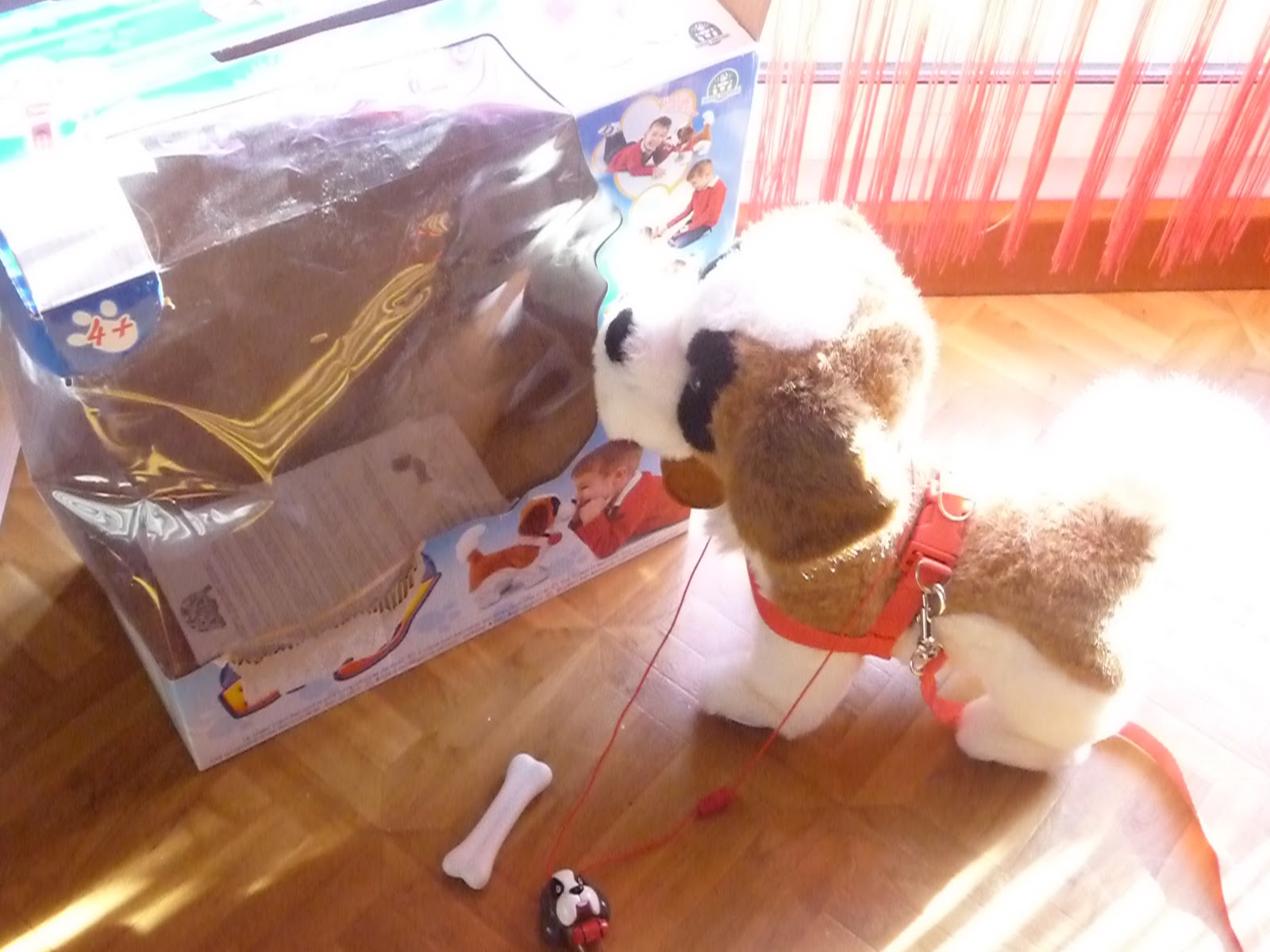 Vide dressing de tout: Billy le chien [vendu]