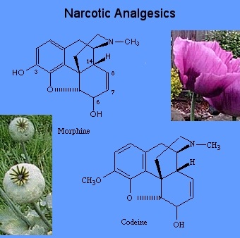 Infiniti Usa Luxury Suvs Crossovers Sedans And Coupes