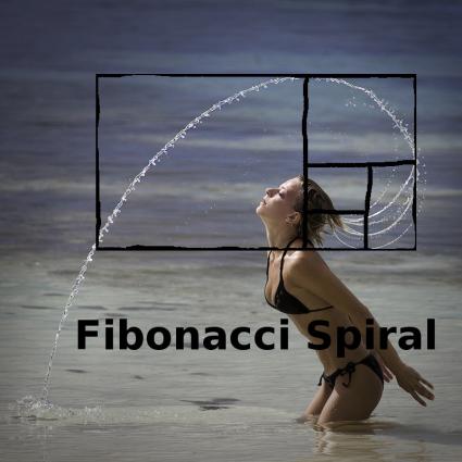 [fibonacci.jpg]