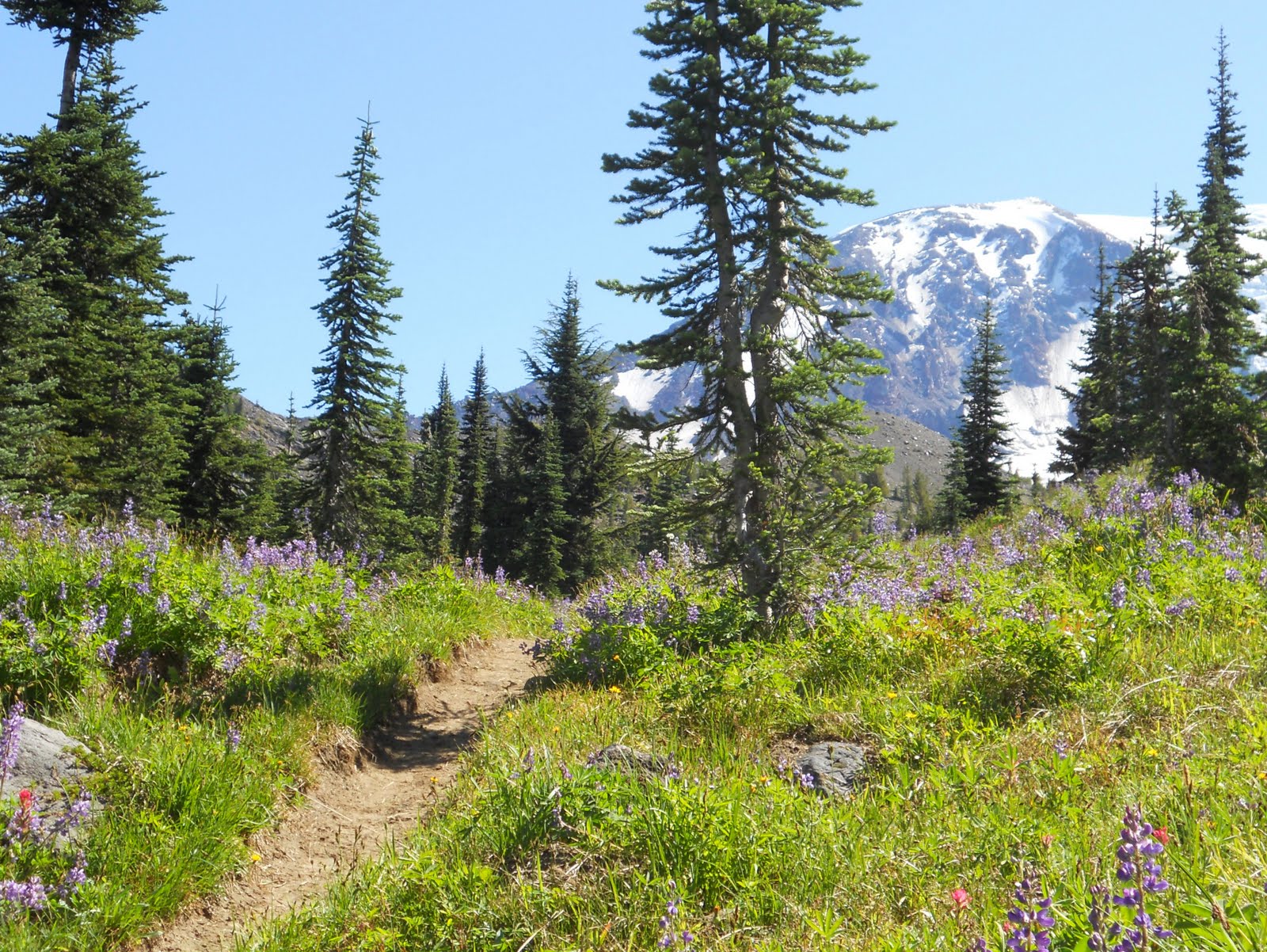 CarpeSummer Hike in Mt. Adams Wilderness