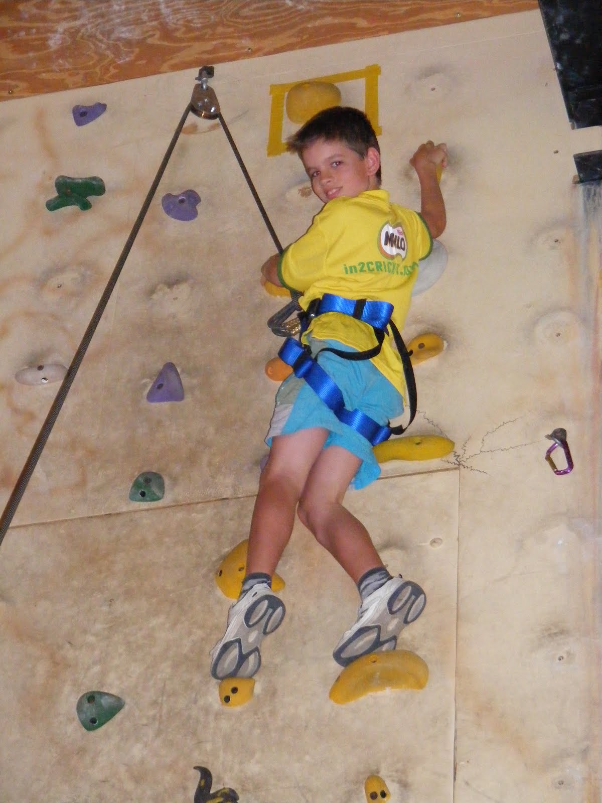 Kids in Queensland Rock Climbing