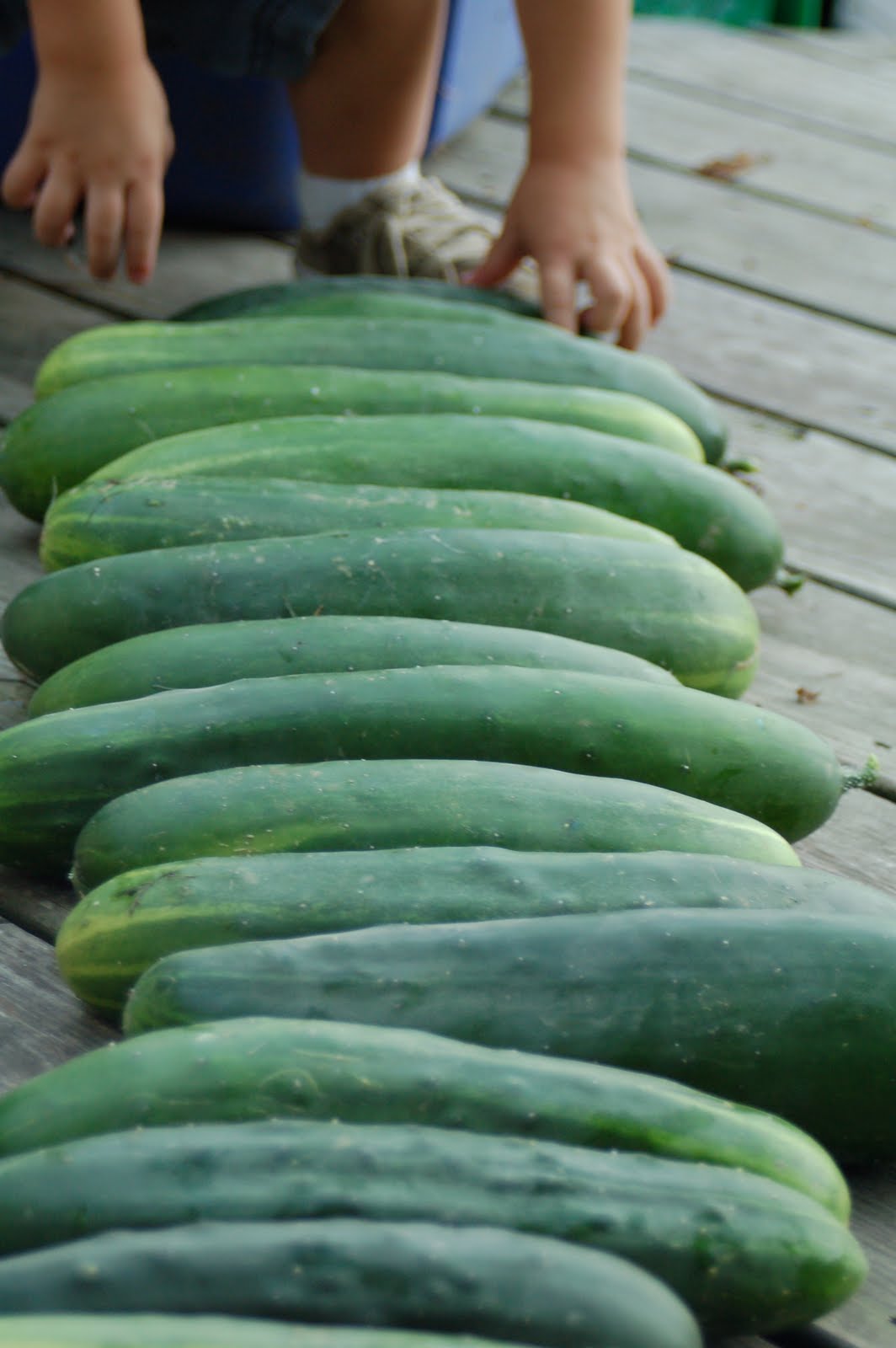 shorties funny farm too many cucumbers