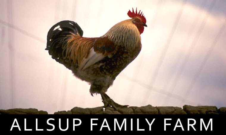 Allsup Family Farm