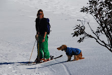 Skiing with man's best friend
