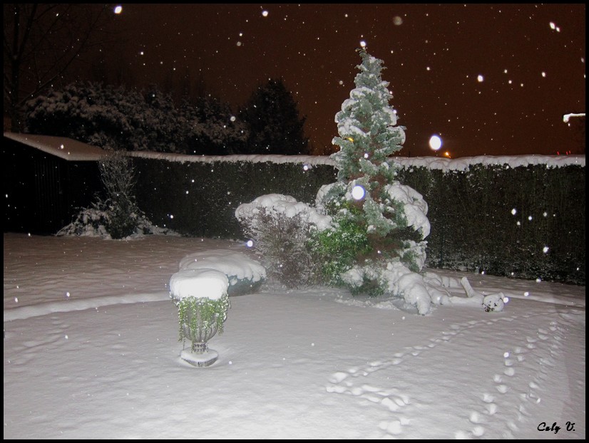 A l'aube du crépuscule: décembre 2011