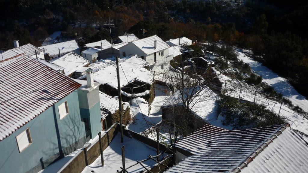 [neve+singral-7.JPG]