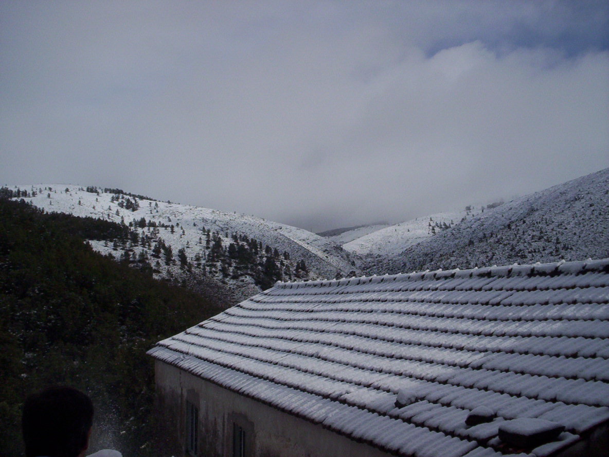 [Singral+1-12-2008-5.jpg]