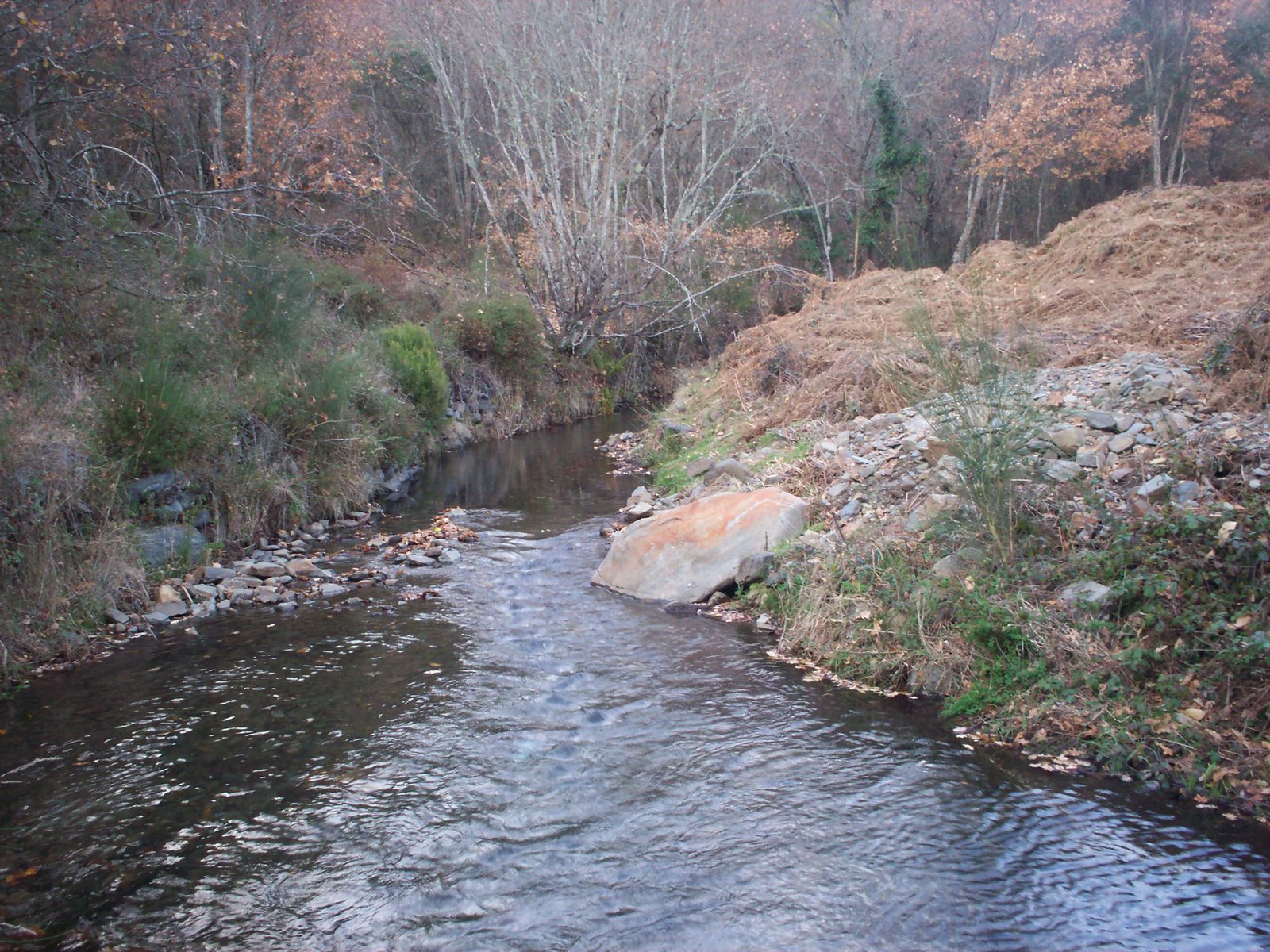 [dez-2008+ribeira.jpg]
