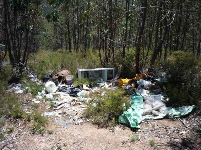 [atentado+ambiental3.jpg]